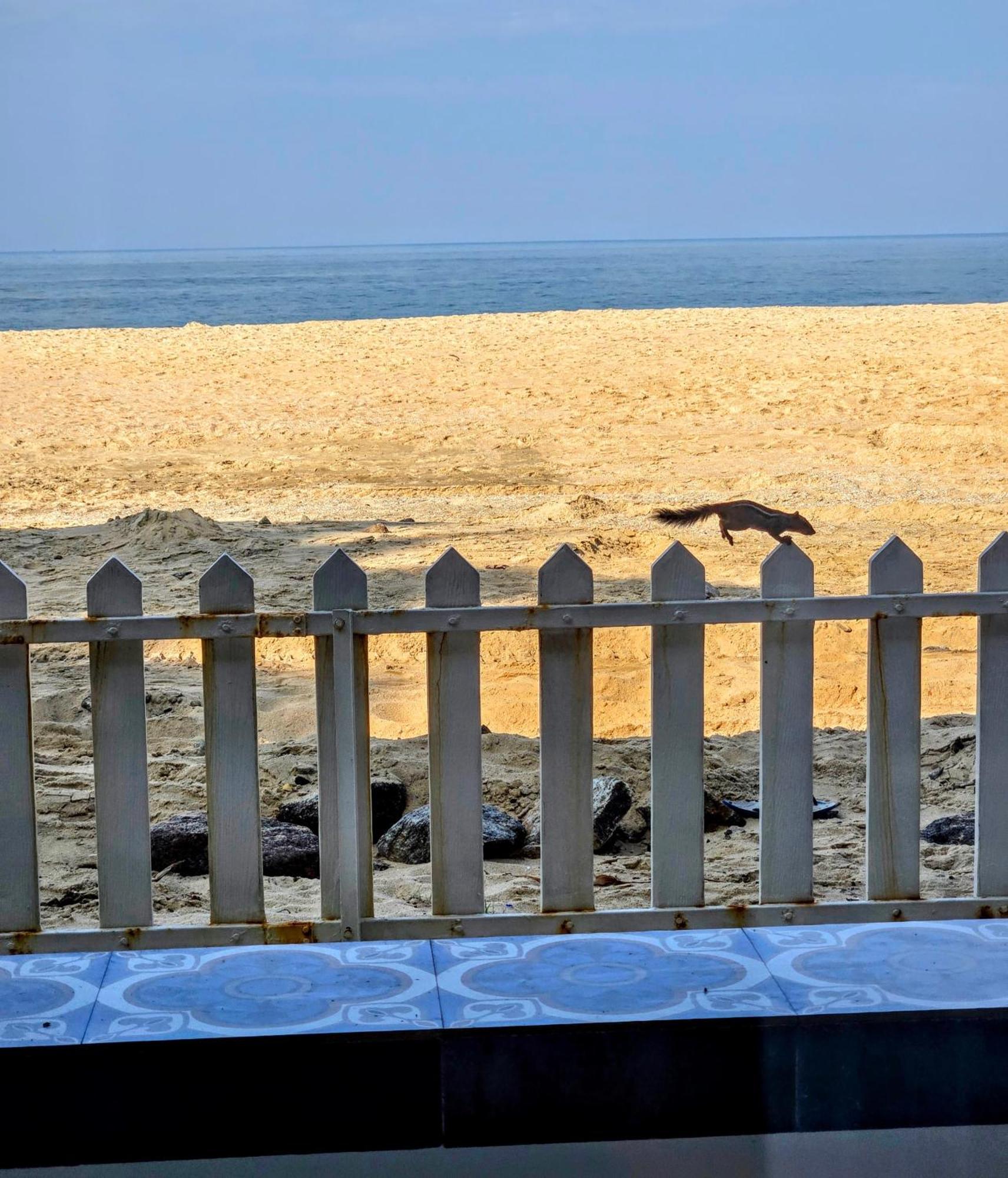 Ether Marari Beachfront 马拉利库兰 外观 照片